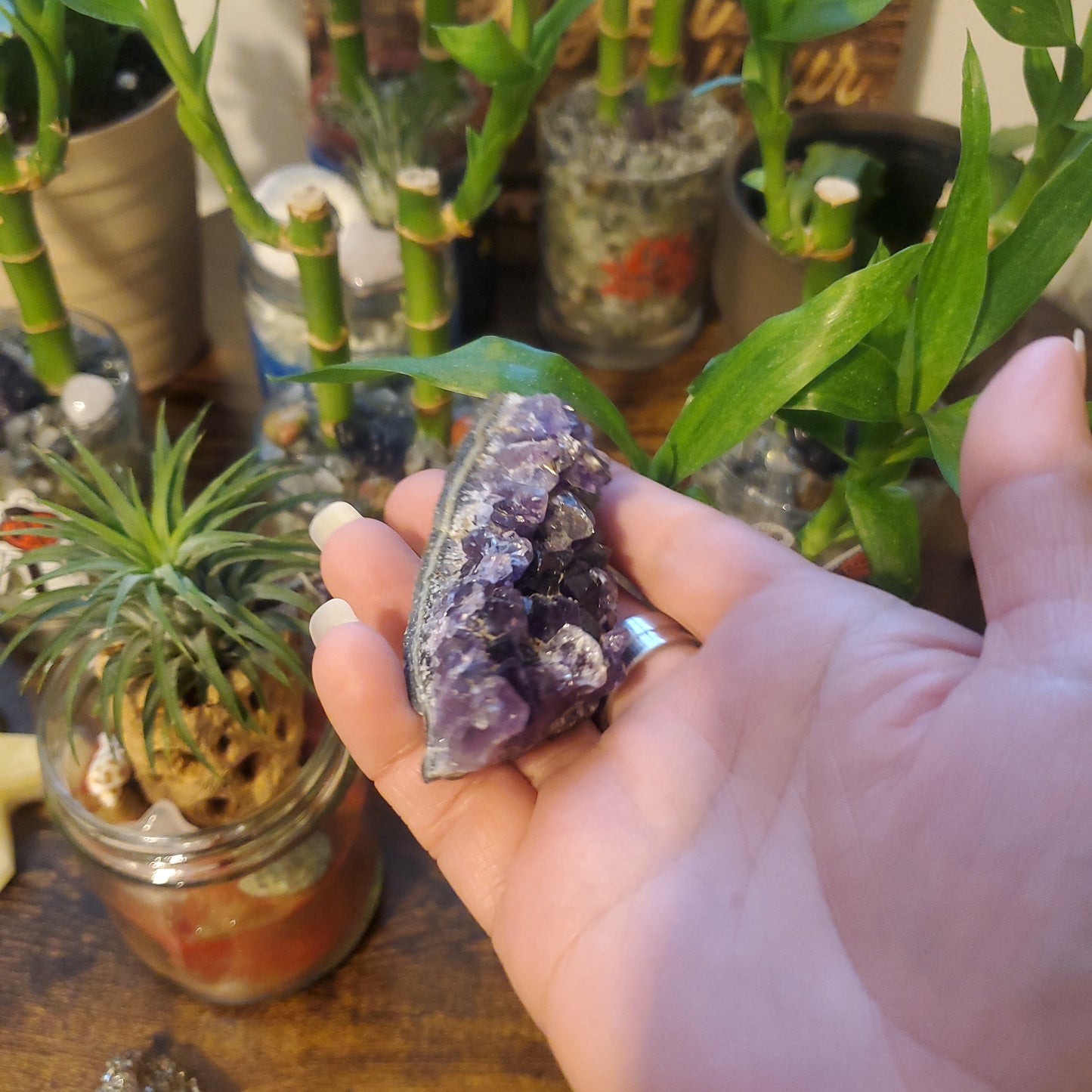 Amethyst Crystal Clusters/Amethyst Crystal - Healing Plants Miami
