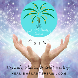 Healing Plants Miami