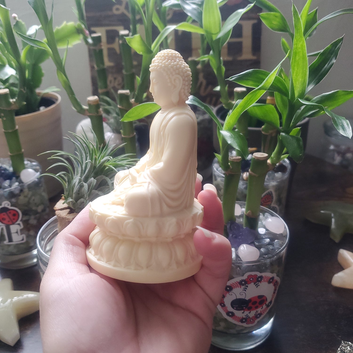 Ivory Nut / Tagua Nut Gautama Buddha / Shakyamuni Buddha/Tagua Statue/Buddha - Healing Plants Miami