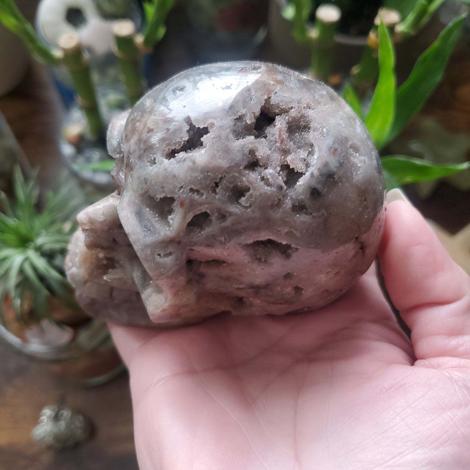 Sphalerite Crystal Skulls/Sphalerite Crystal/Metaphysical Shop - Healing Plants Miami