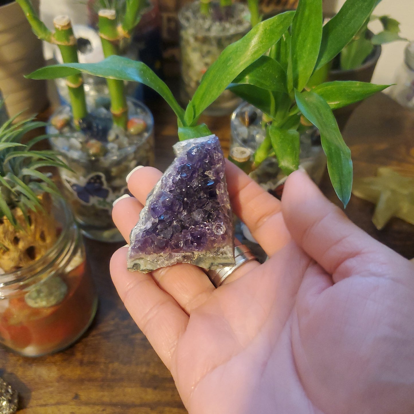 Amethyst Crystal Clusters/Amethyst Crystal - Healing Plants Miami