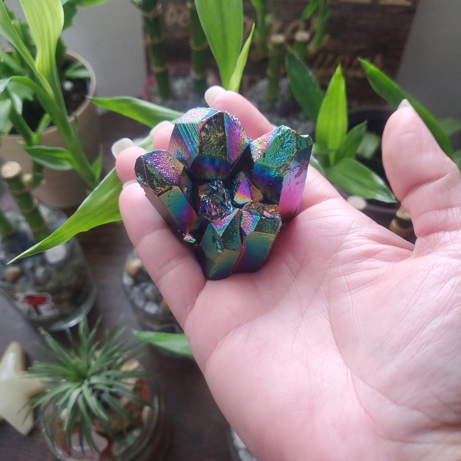 Rainbow Aura Crystal Quartz Clusters/Crystal Shop/Metaphysical Shop - Healing Plants Miami
