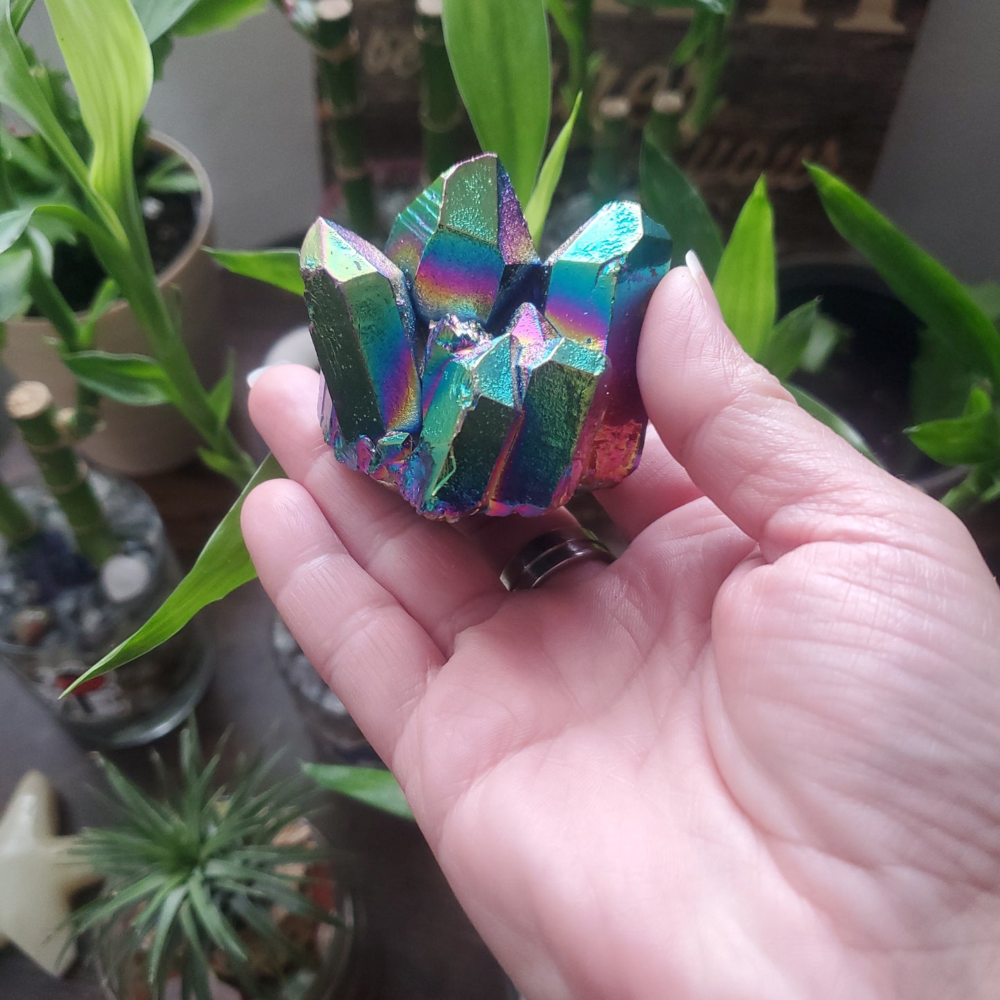 Rainbow Aura Crystal Quartz Clusters/Crystal Shop/Metaphysical Shop - Healing Plants Miami