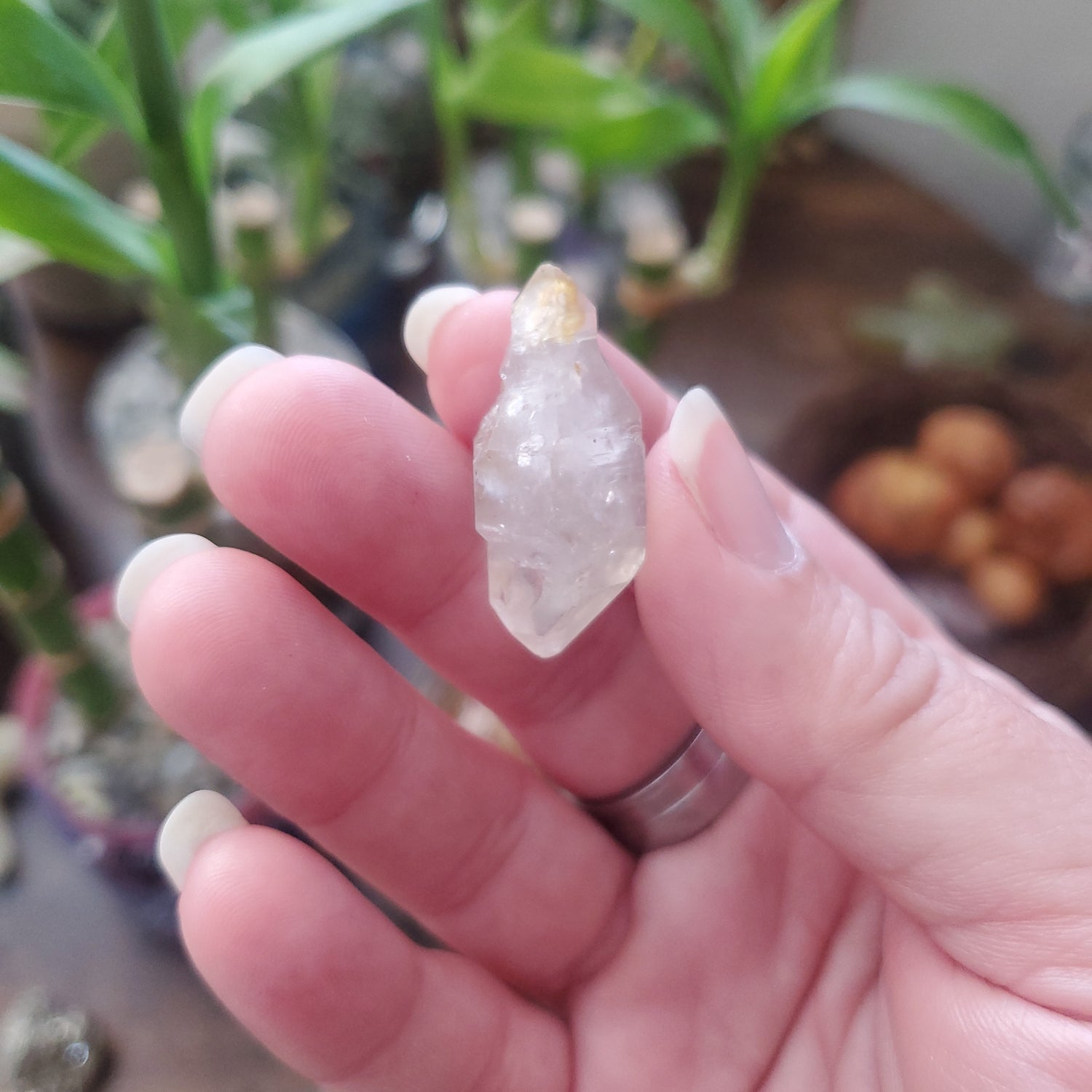 Herkimer Crystal Diamonds/Herkimer Crystal - Healing Plants Miami