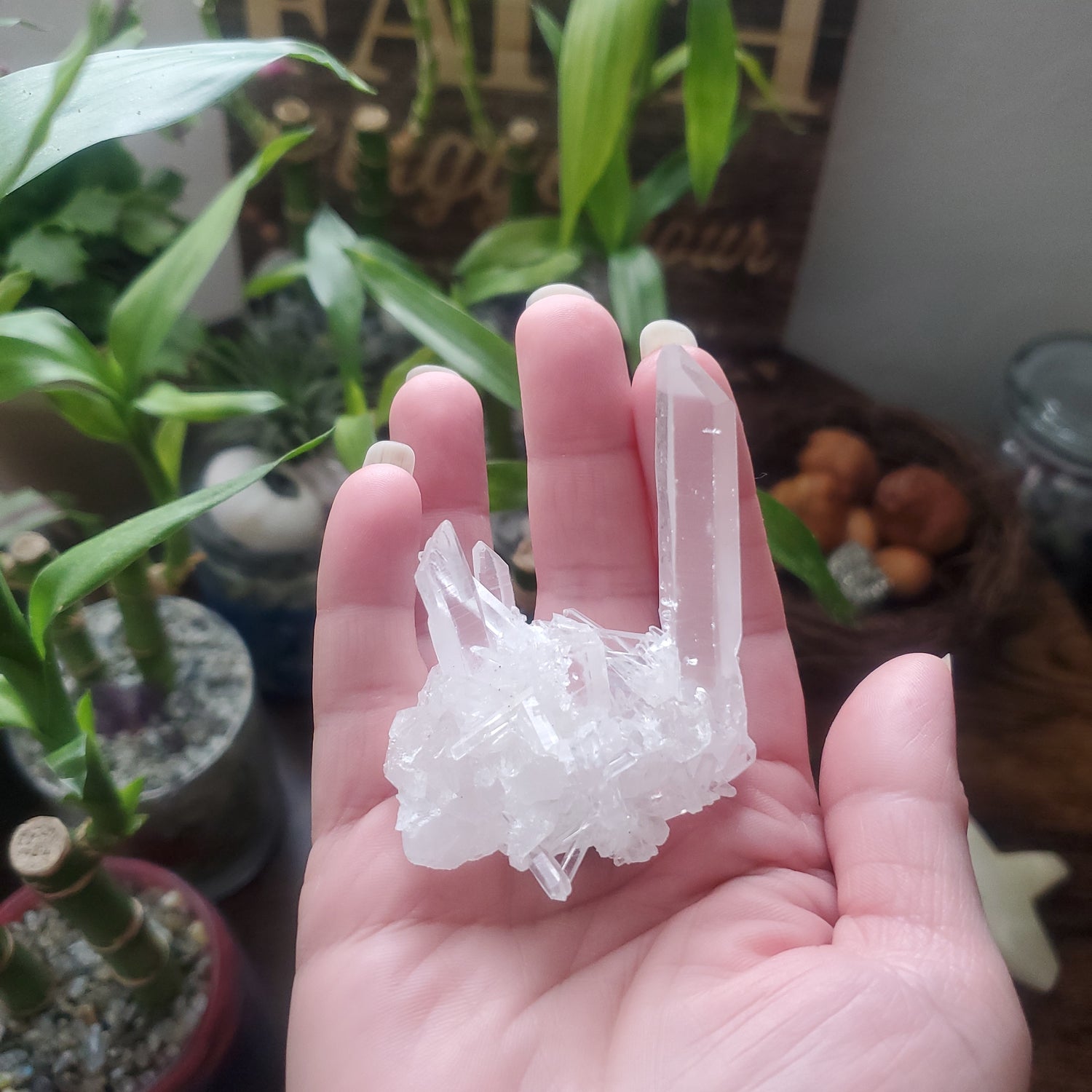 Lemurian Quartz Crystal Clusters/Lemurian Crystal - Healing Plants Miami