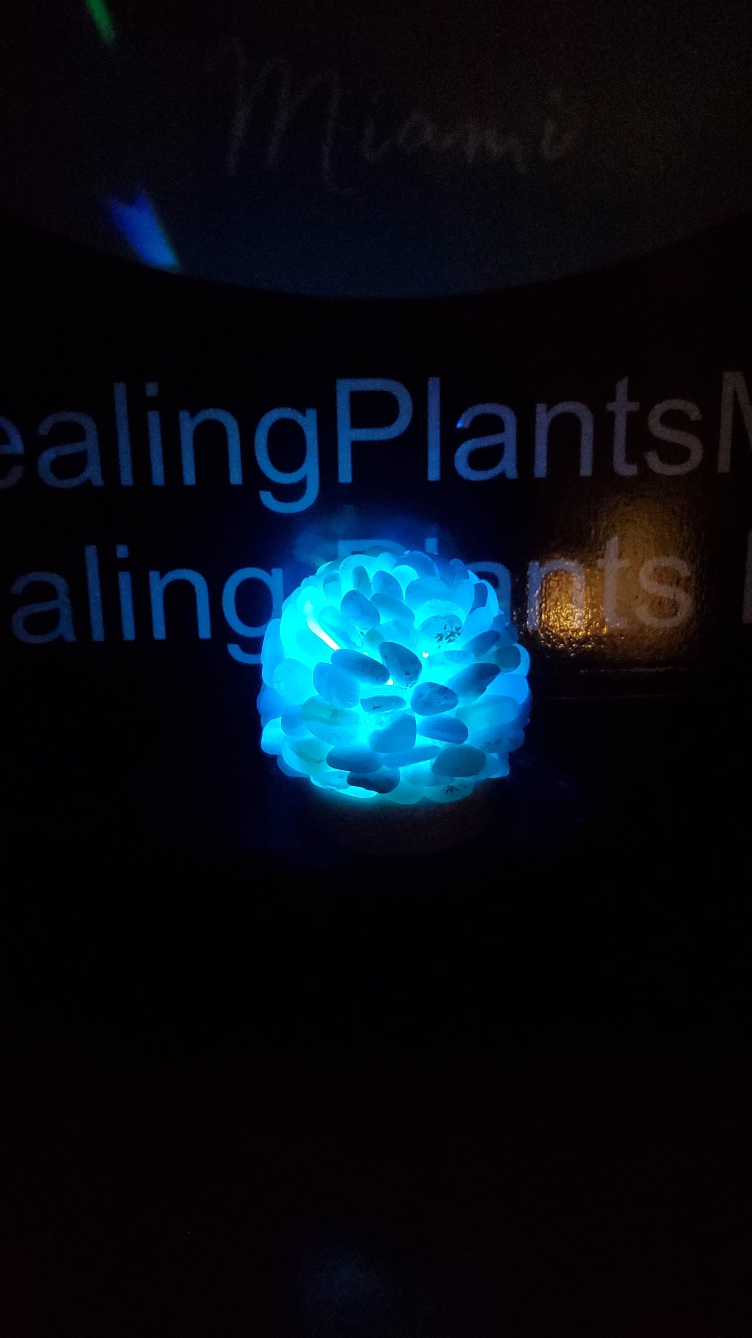 Blue Lace Agate Night Light/Crystal Flower Lamp/ Color Changing Light/Crystal Light/Agate Crystal - Healing Plants Miami
