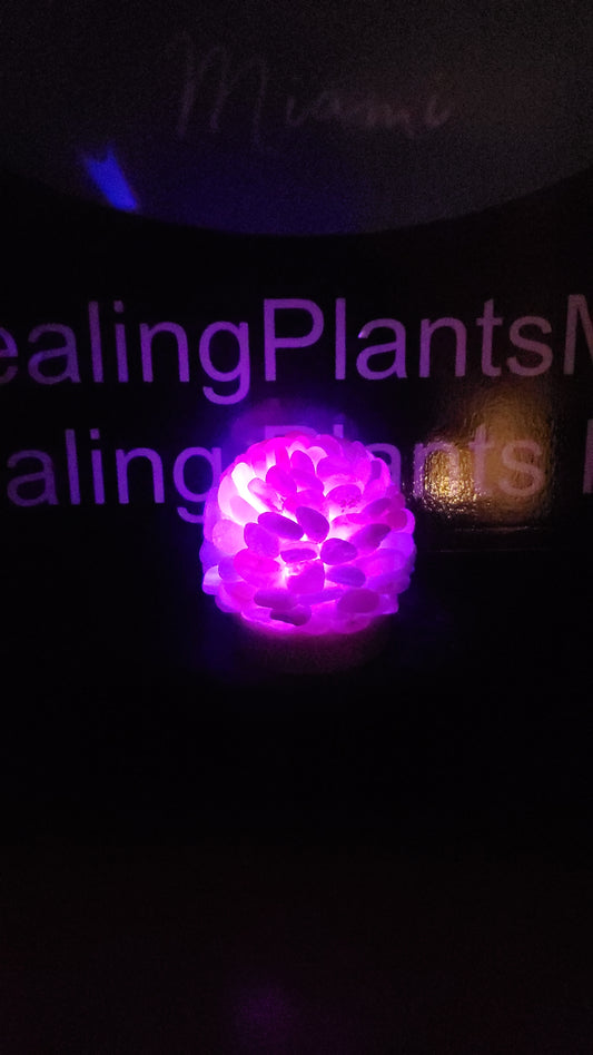 Blue Lace Agate Night Light/Crystal Flower Lamp/ Color Changing Light/Crystal Light/Agate Crystal - Healing Plants Miami