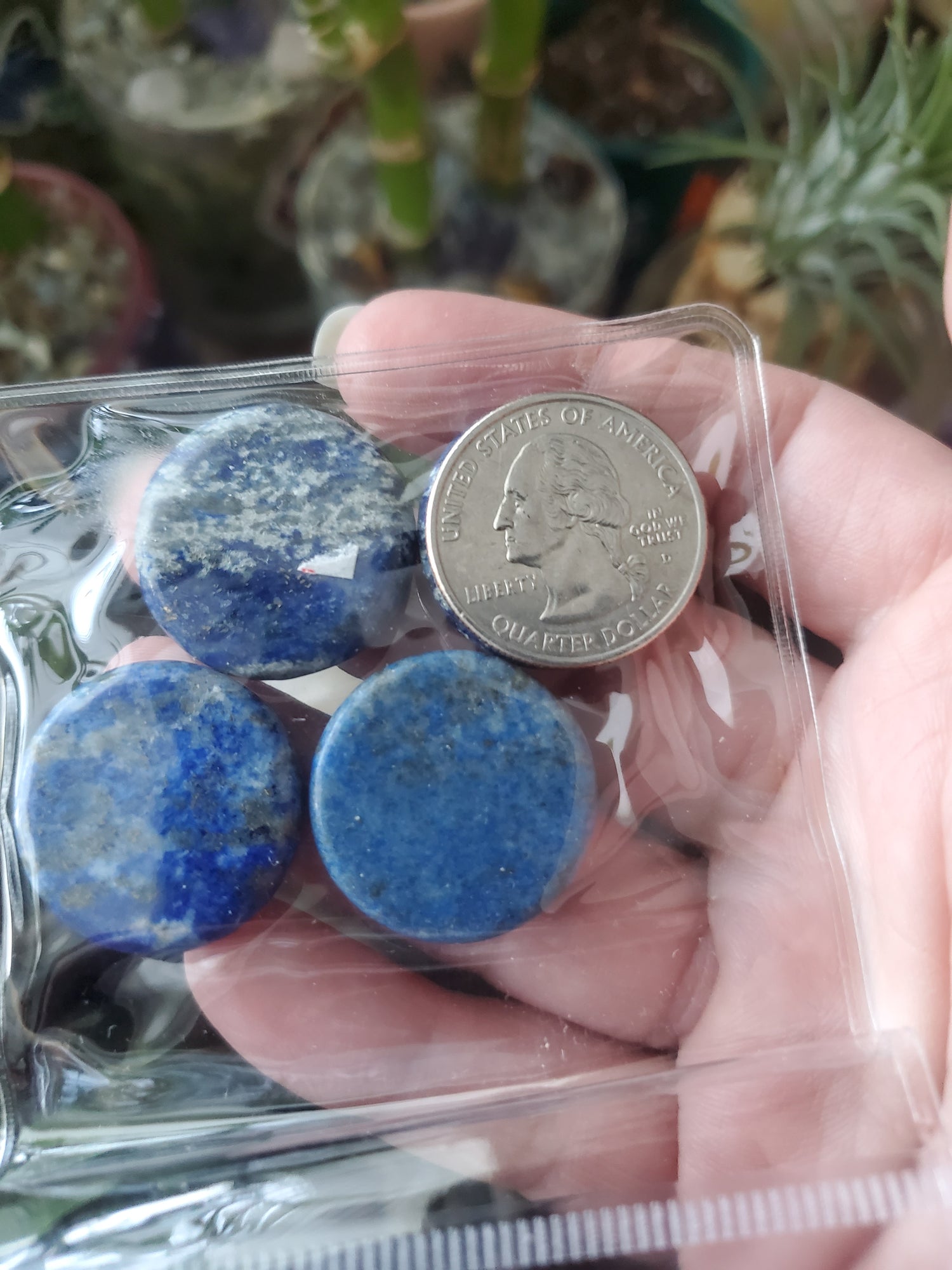 Reiki Charged Crystals with Symbols/ Amethyst/Carnelian/Lapis Lazuli/Crystal Shop/Reiki Shop - Healing Plants Miami