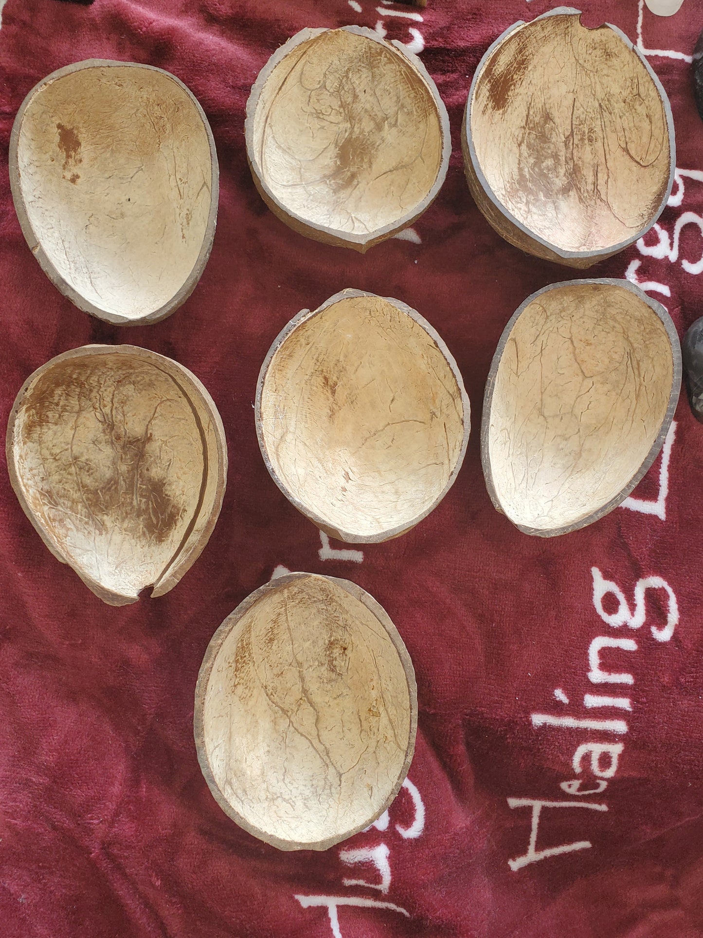 Coconut Shells for DYI projects