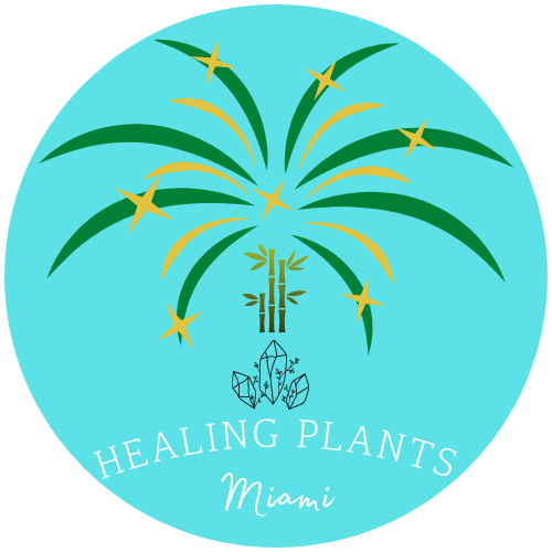 Healing Plants Miami Gift Card/Metaphysical Shop/Gift Card/Crystal Shop - Healing Plants Miami