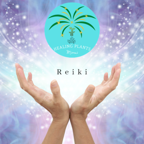 Reiki Healing Session/Reiki Self Healing Class Via Zoom/Distance Reiki Healing/Pet Reiki Healing/Healing Therapy/Animal Reiki - Healing Plants Miami